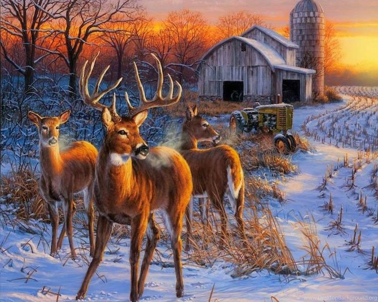 Winter Whitetail Deer Xmas New Year Paintings Christmas Animals ...