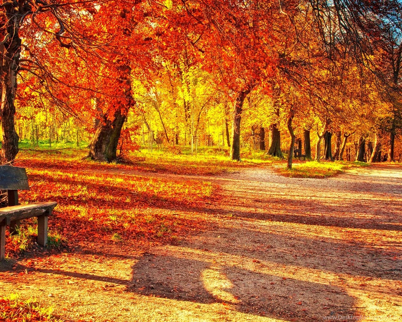 Cute Autumn Leaves HD Wallpapers. Desktop Background