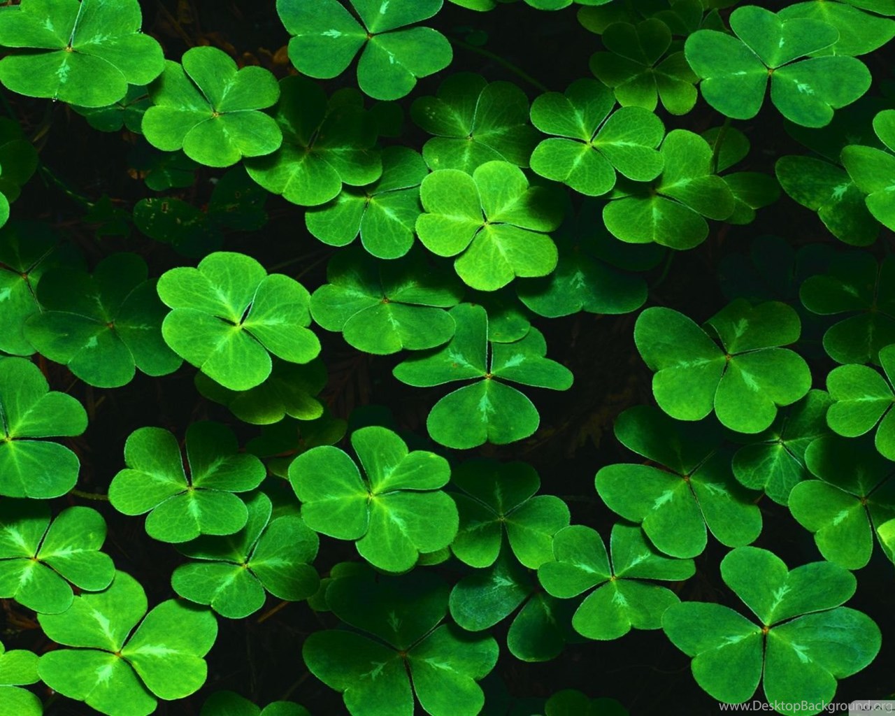 Four Leaf Clover Backgrounds Wallpapers Cave Desktop Background