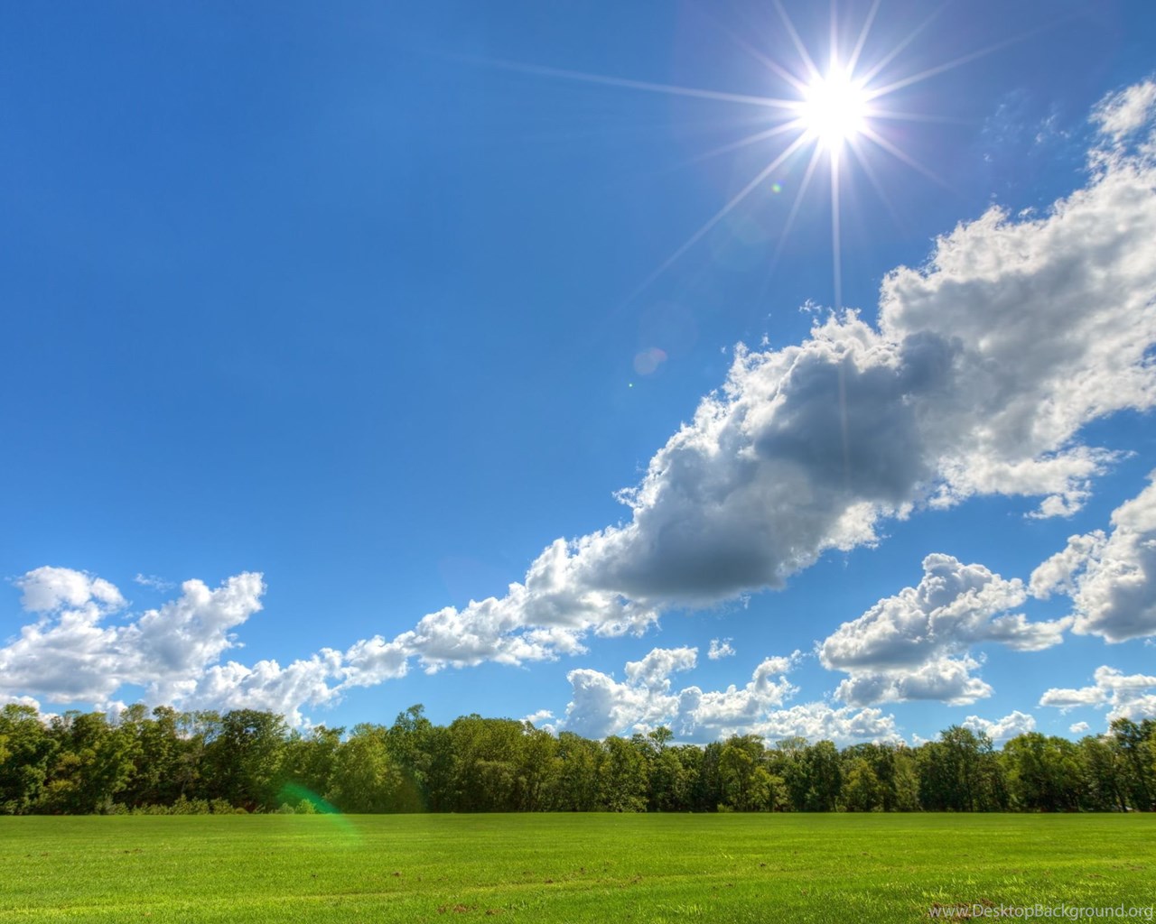 Clear Sky On A Sunny Day, Cloud, Field, Tree, Nature, 2560x1600 HD ...