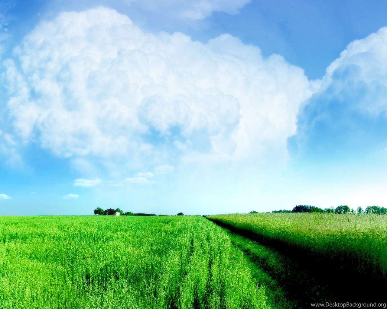 Download The Relaxation Road Wallpaper Relaxation Road Iphone