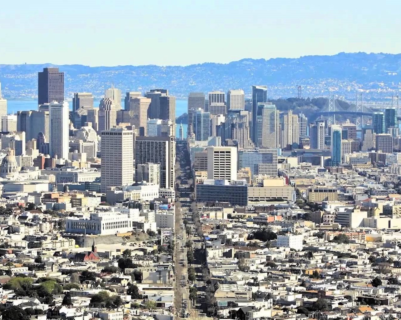 San Francisco Bay Area Escort