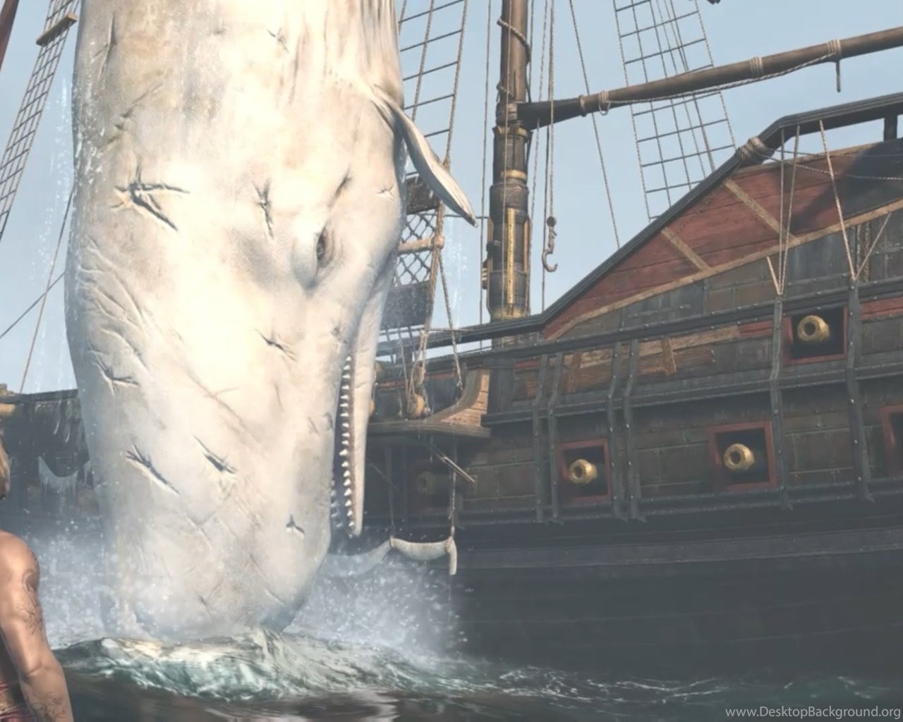 Moby dick easter egg assassin's creed