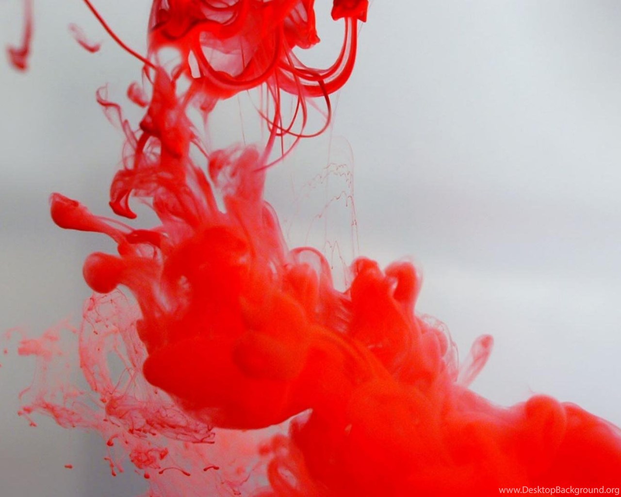 Abstract Red Liquid Paint Artwork Water Colors Wallpapers Desktop
