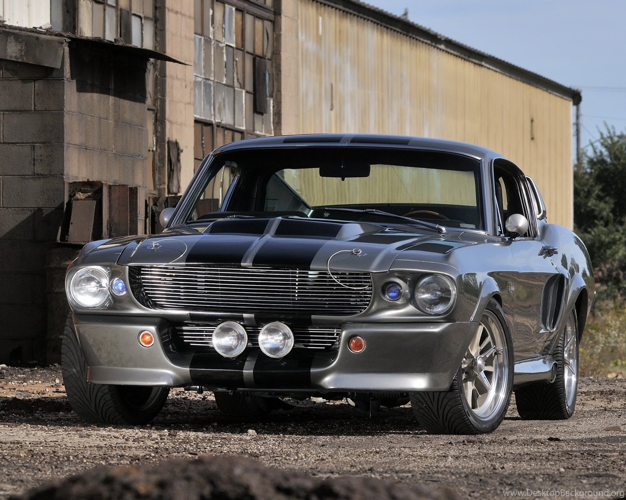 Форд Мустанг Шелби gt500 Элеонор