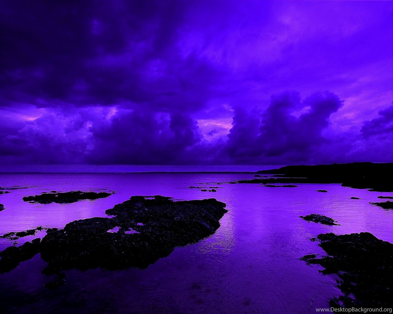 Violet Backgrounds  Wallpaper  High Definition  High 