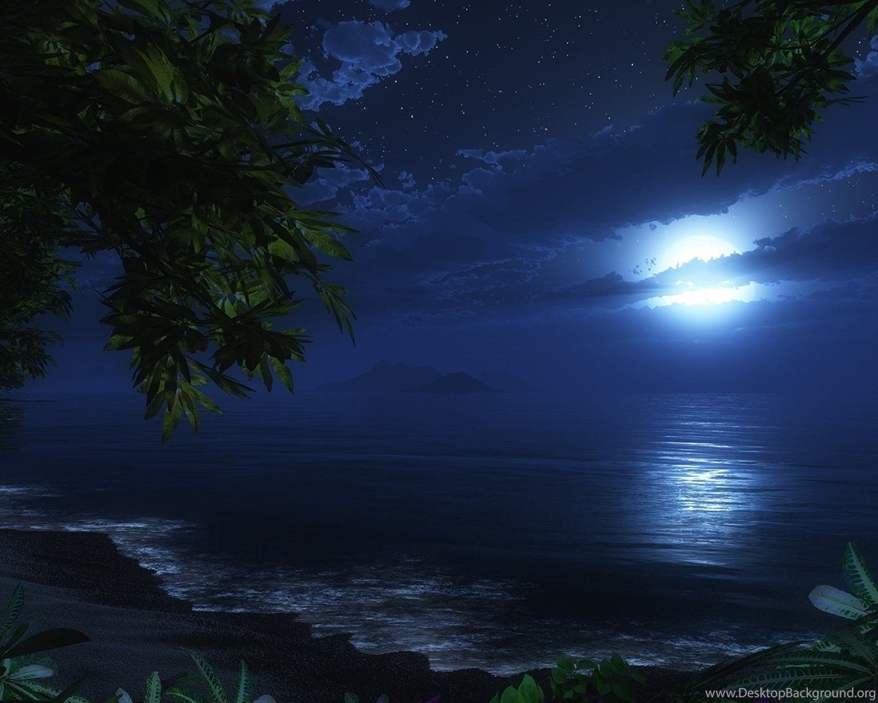 Night Moon Beach Sea Nature Amazing Photo New Hd Wallpapers For