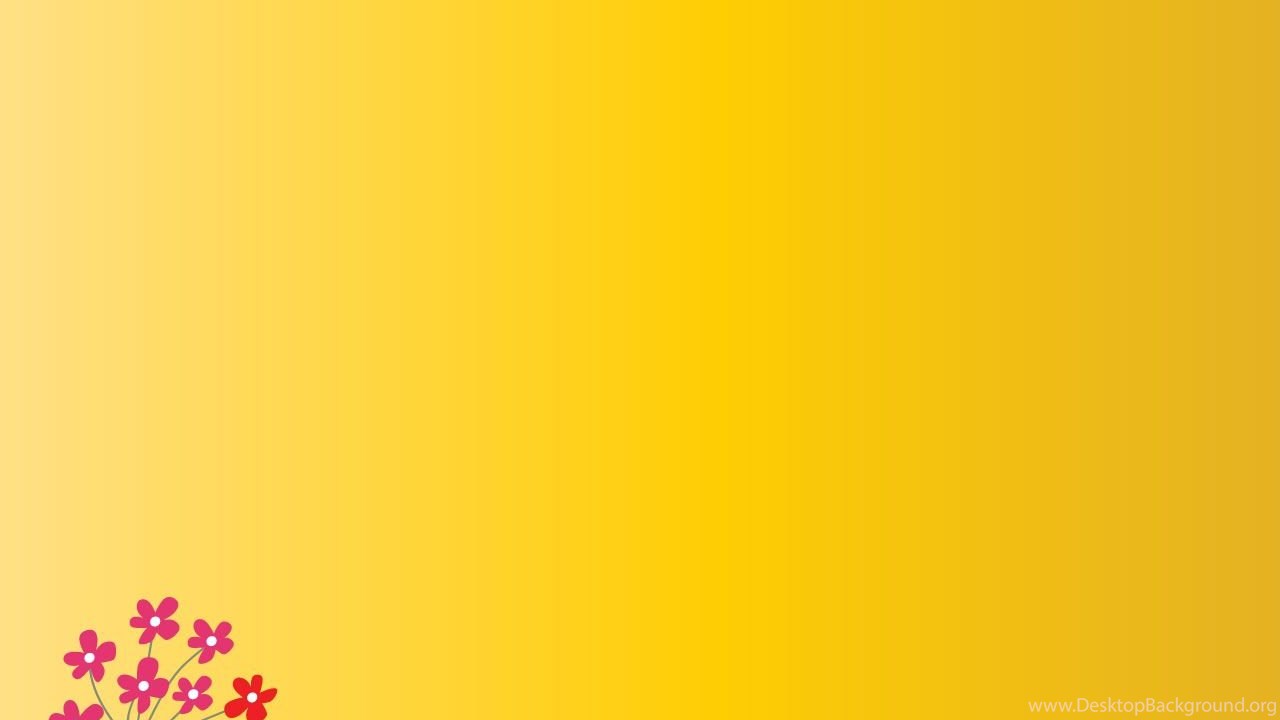 cool daisy simple quality backgrounds