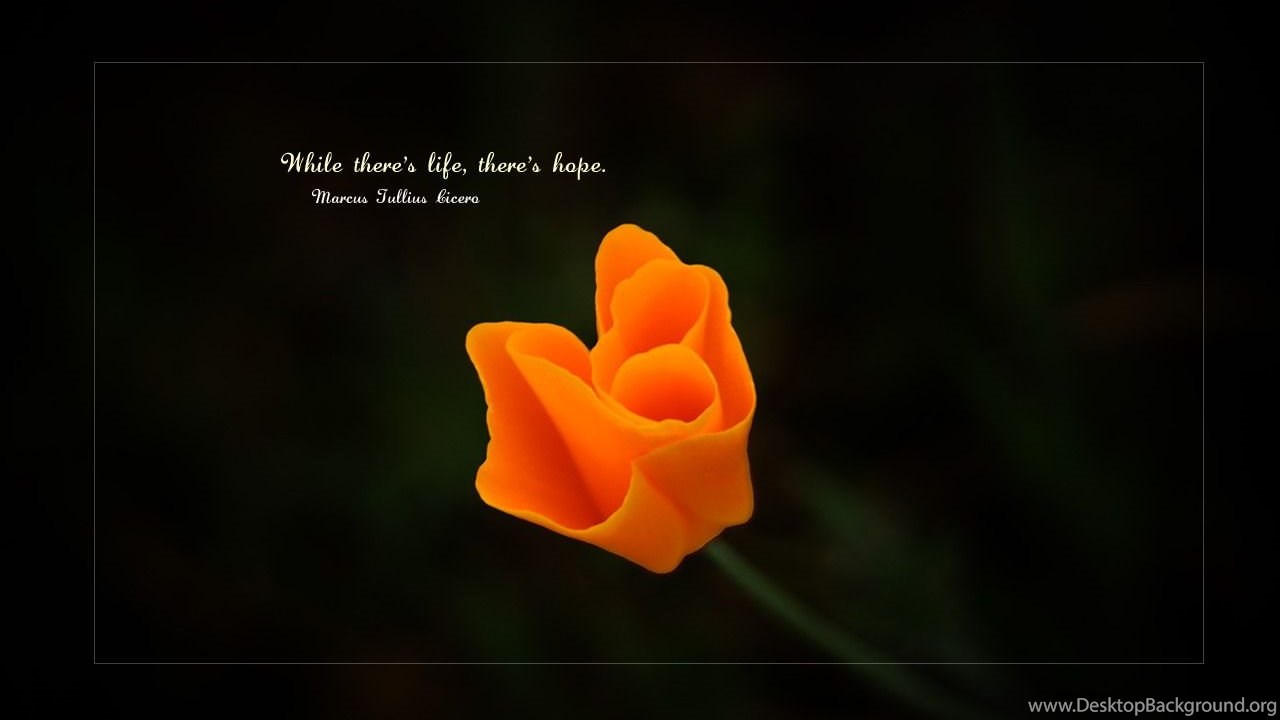 While there is life there is. Hope all is well Roses.