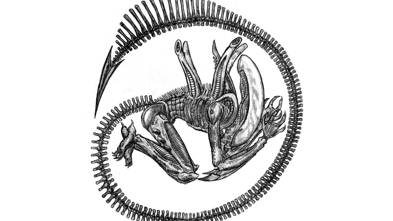 Xenomorph Alien Desktop And Mobile Wallpapers Wallippo Desktop