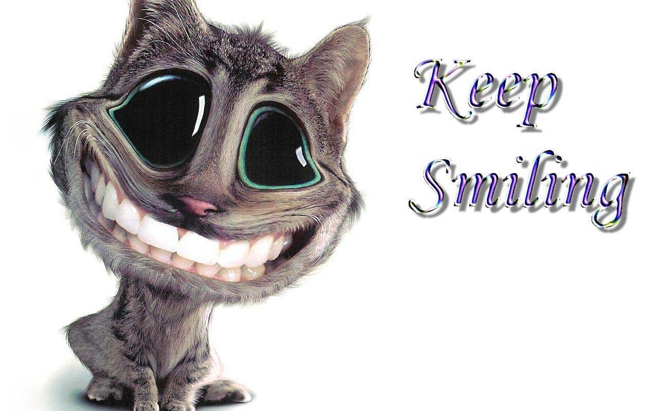 Funny Wallpaper Images (3) Funny And Amazing Wallpapers. Desktop Background