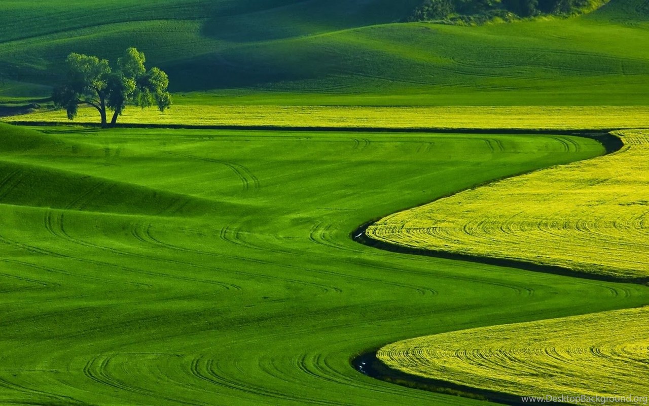 Free Download Wallpapers For Laptop Wallpapers HD Wide Desktop Background
