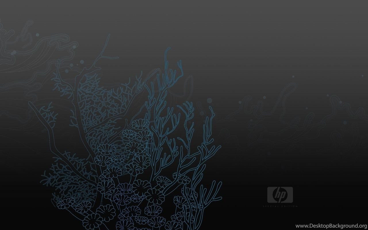 Wallpaper edition. HP обои для рабочего стола высокого качества. Фон на ноут темный. Ноутбук на темном фоне. HP темные обои.