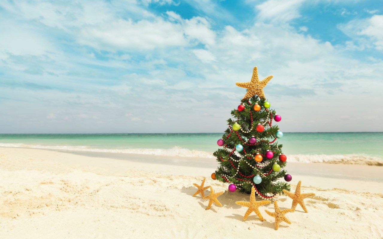 Download Christmas Tree Beach Widescreen Widescreen 16:10 1280x800 Desktop ...