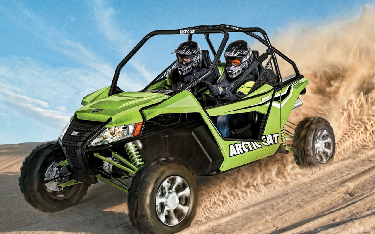 2014 Arctic Cat Wildcat
