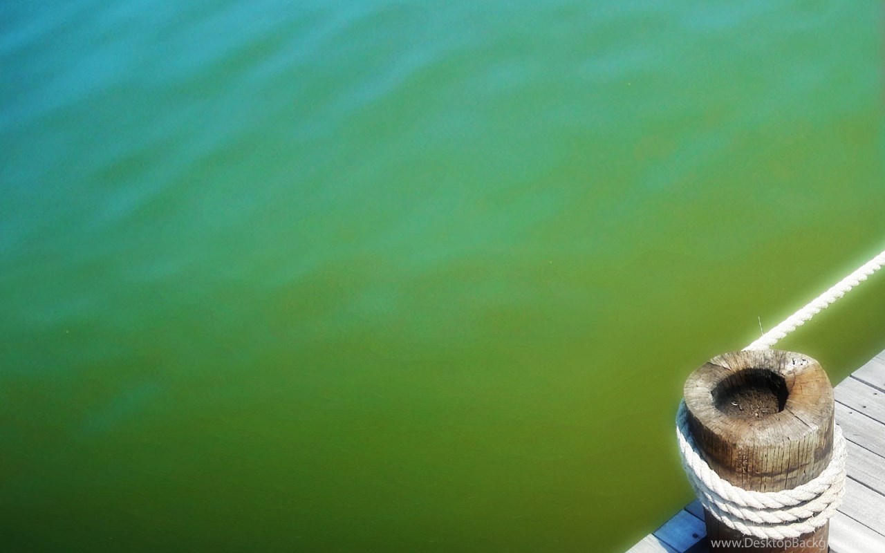 Презентация water pollution