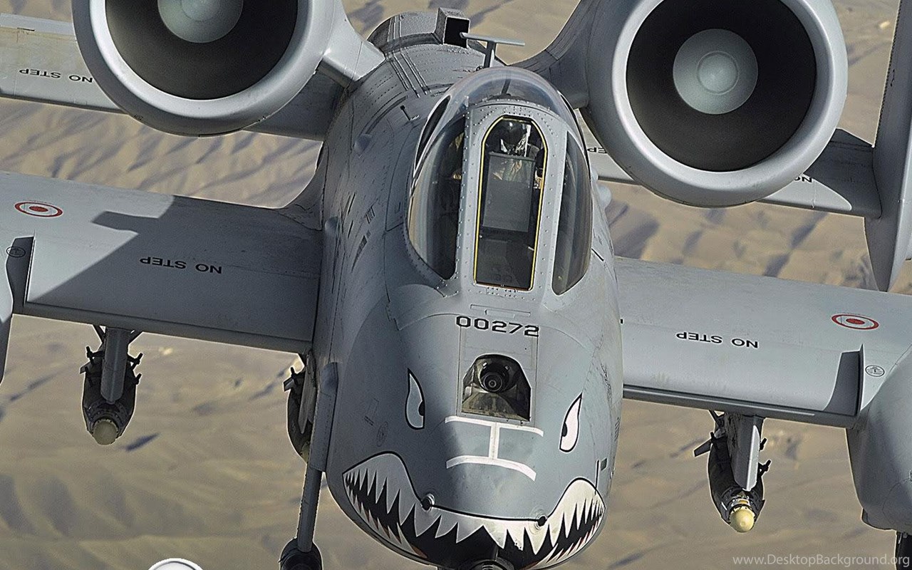 A 10 Warthog Wallpapers Picture Image 1400x1050 17688 Desktop Background