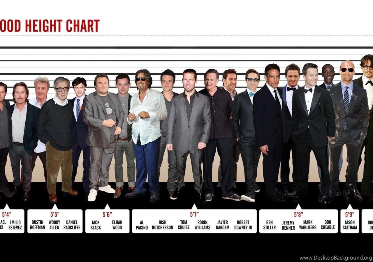 Download Hollywood Height Chart HD Wallpaper, Get It Now! 
