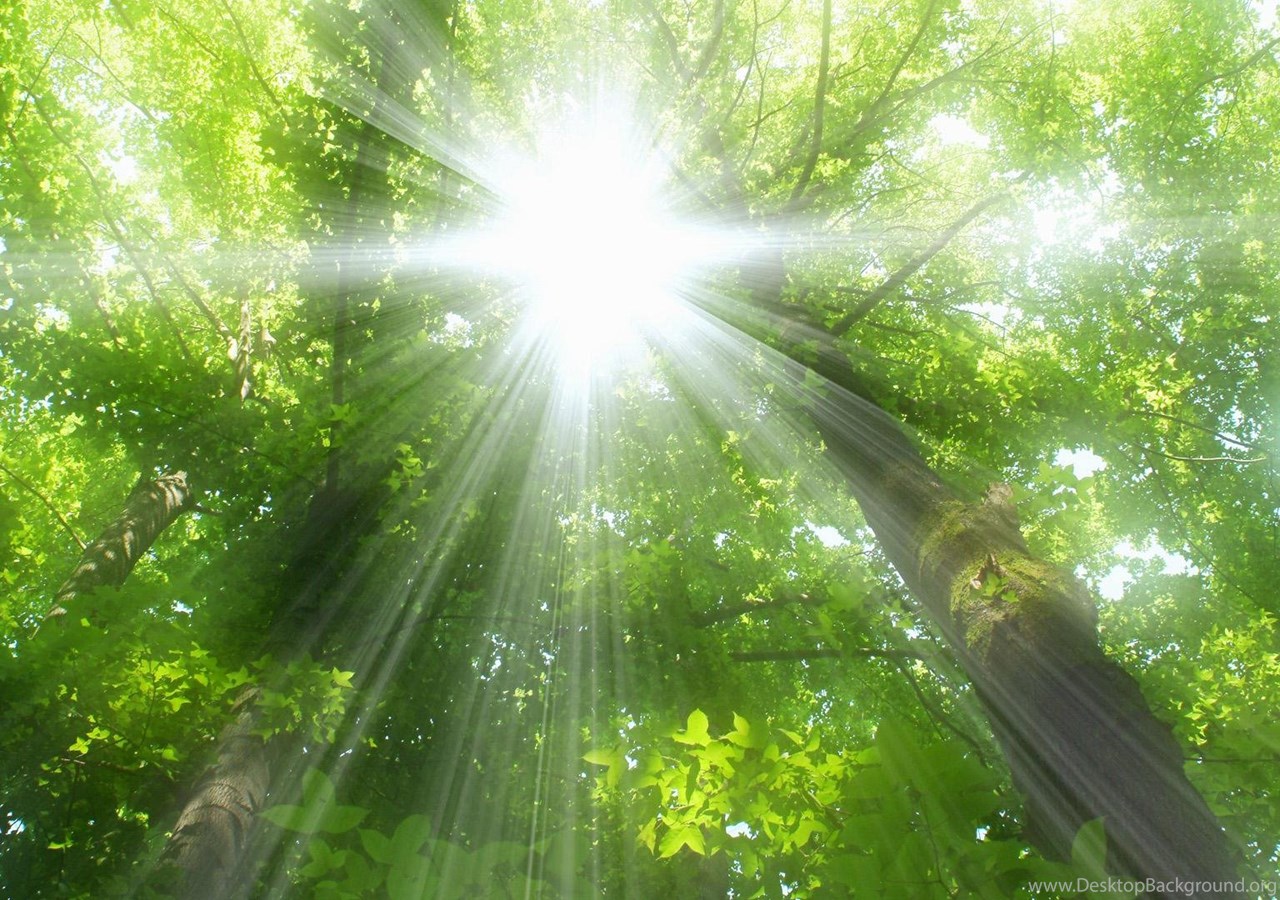 Свет твоего луча. Лучи солнца. Божественный свет природы. В Луче света. Свет солнца.