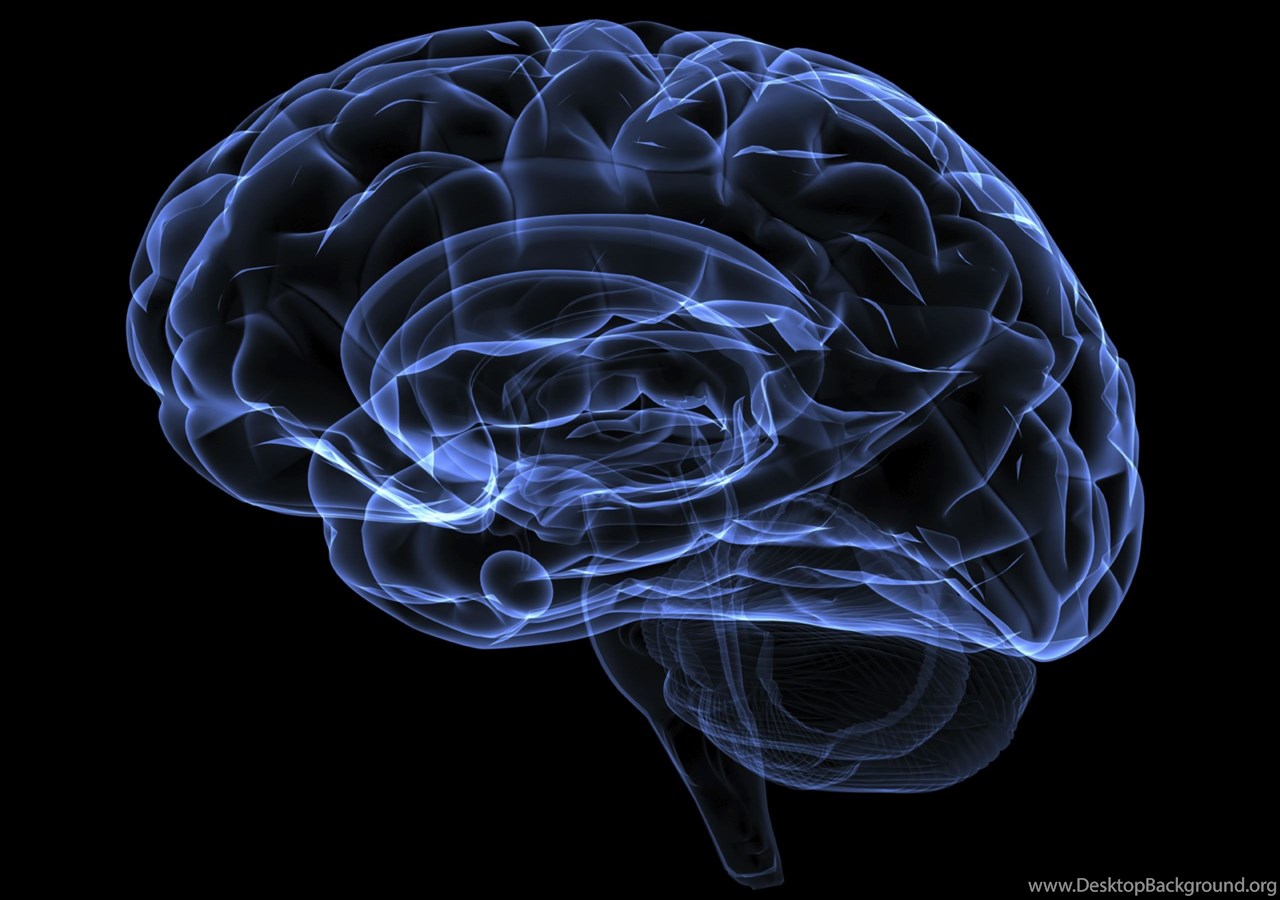 Brain download. Анимированный мозг. Мозг на черном фоне.