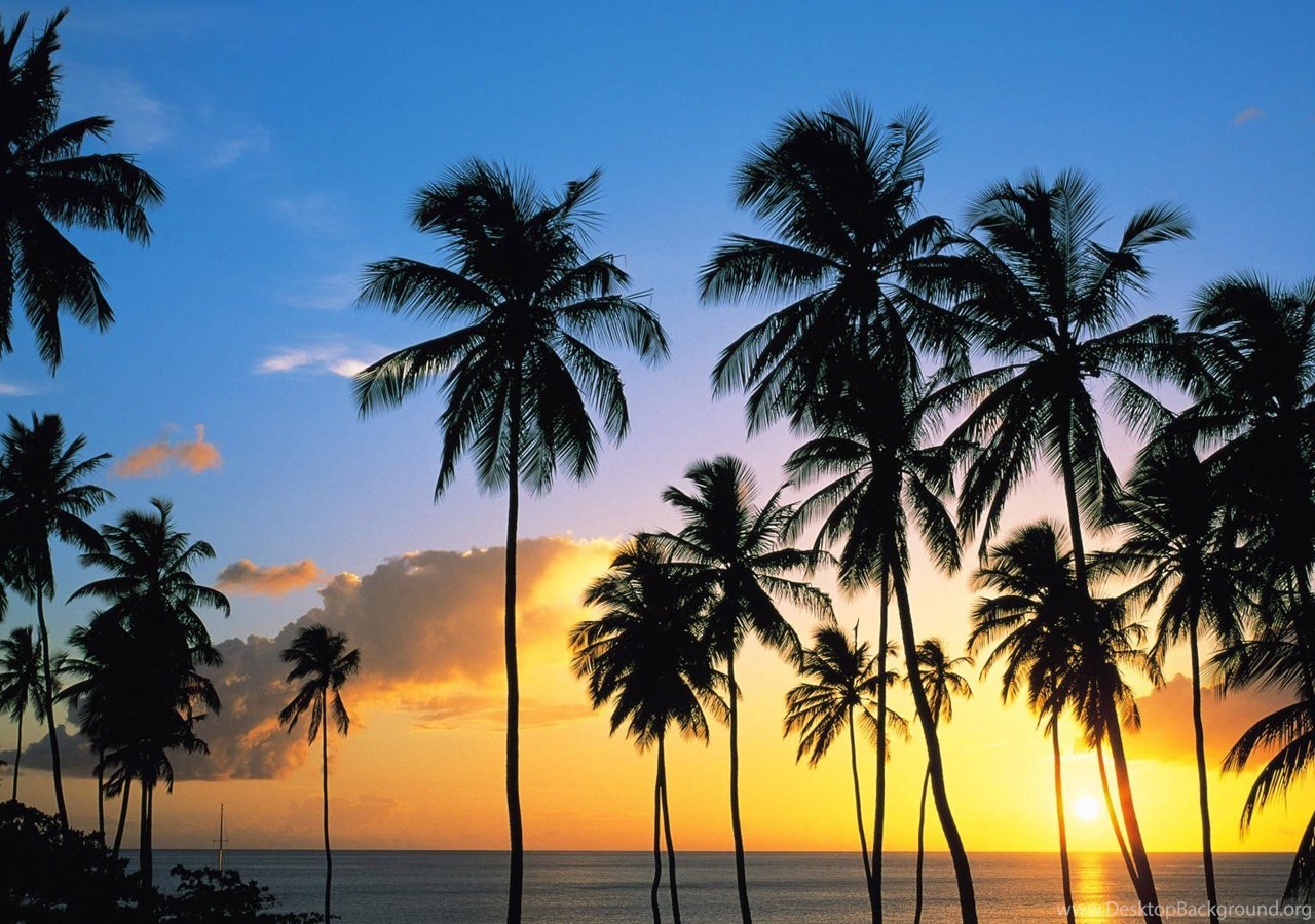 Download YouWall Beautiful Tropical Sunset Wallpapers Wallpapers ... 