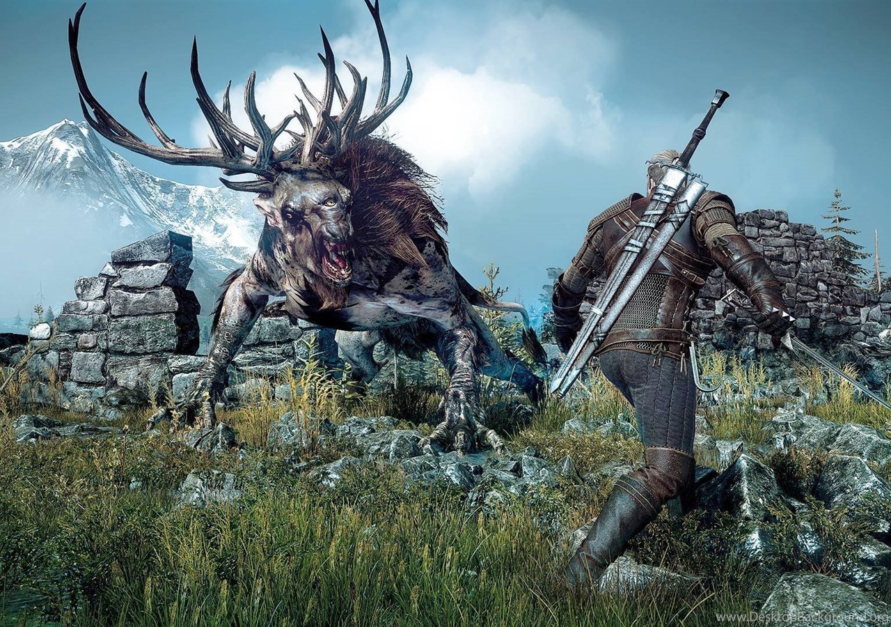 The witcher 3 вес фото 22