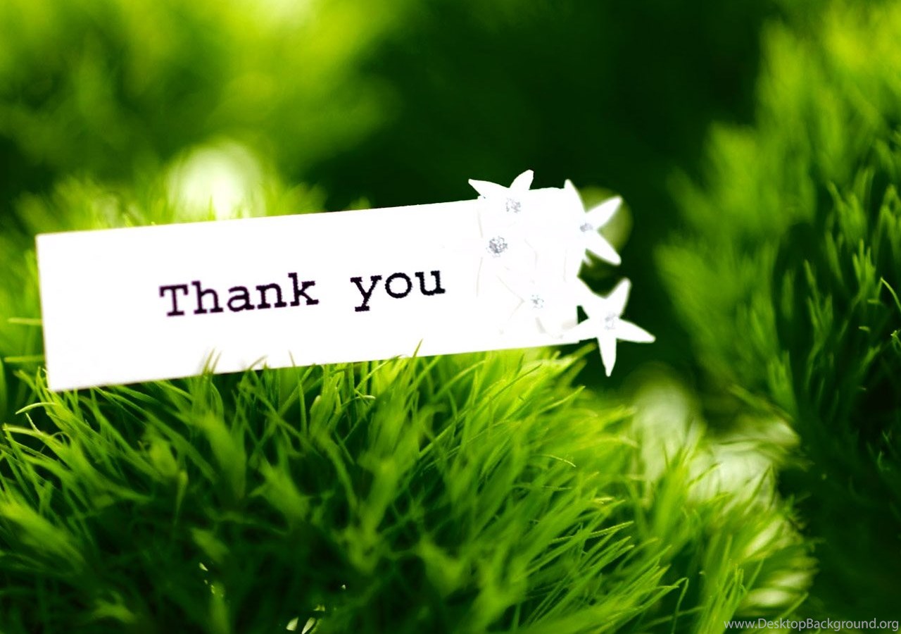 Thank you картинки