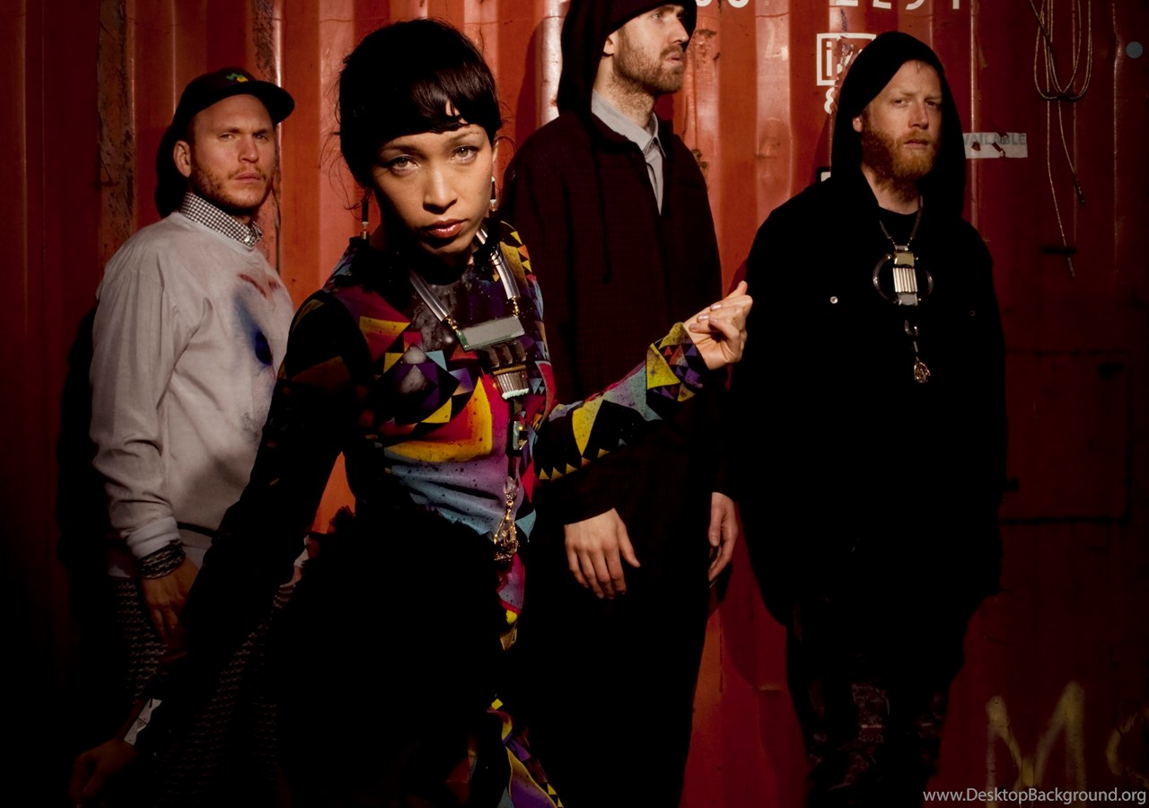 Little dragon