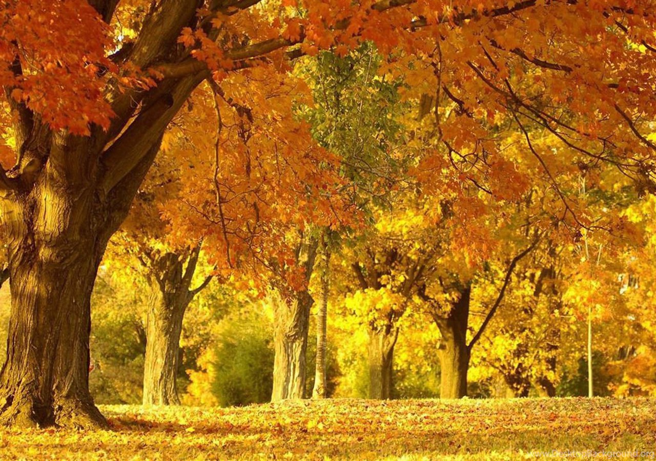 Love Wallpaper Gambar Pemandangan Musim Gugur Yang Sangat Indah Desktop Background