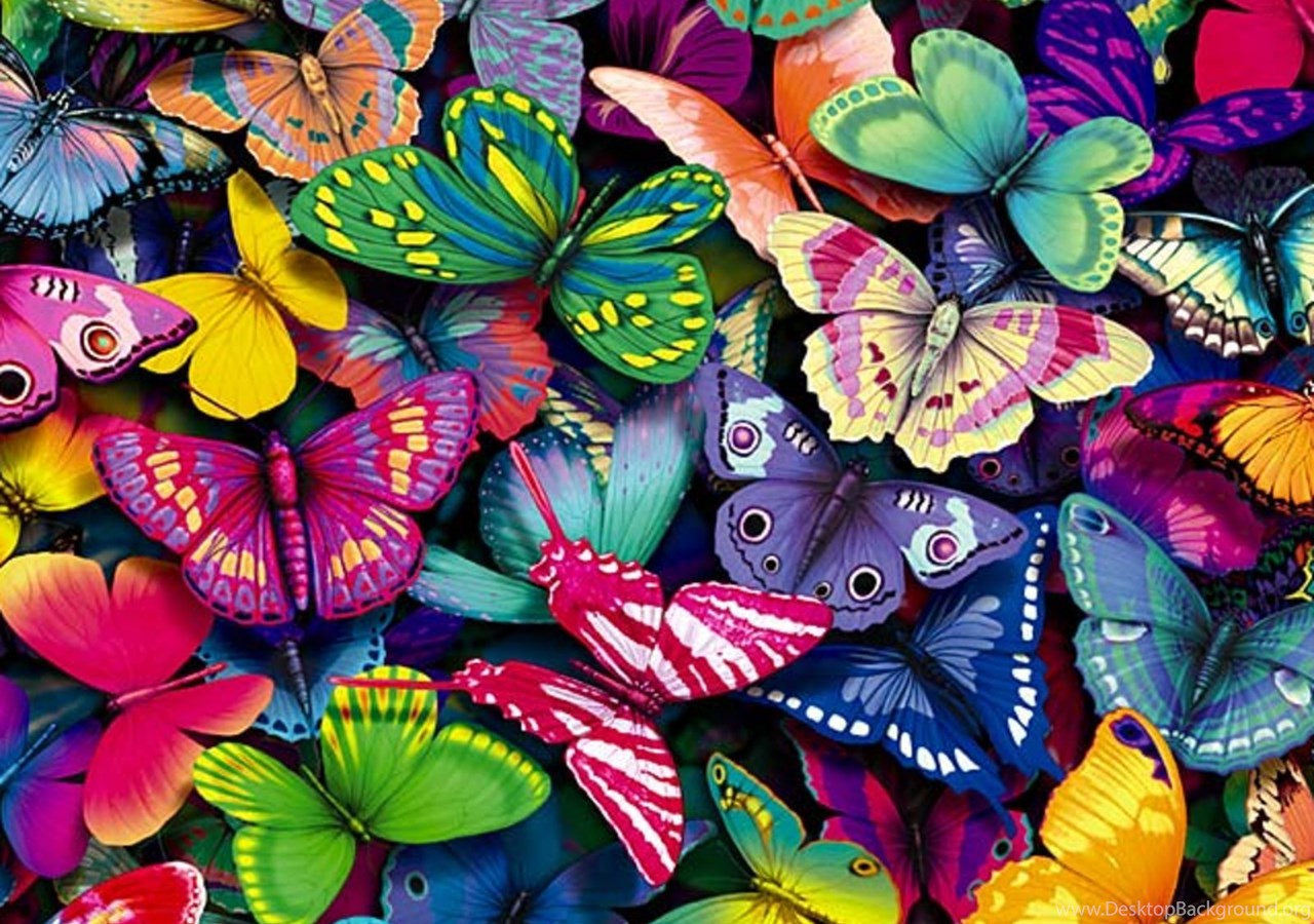 Бабочки и Планета красок