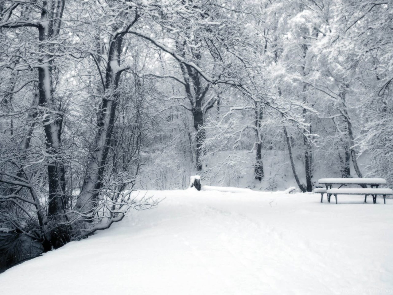 Winter Backgrounds Tumblr 2015 Desktop Background