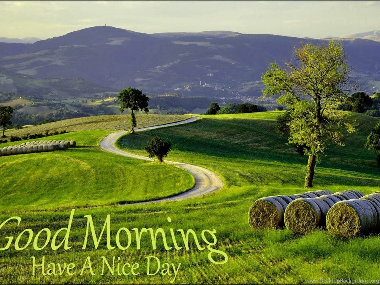 Download Best good morning wallpapers images nature free download.jpg Fulls...