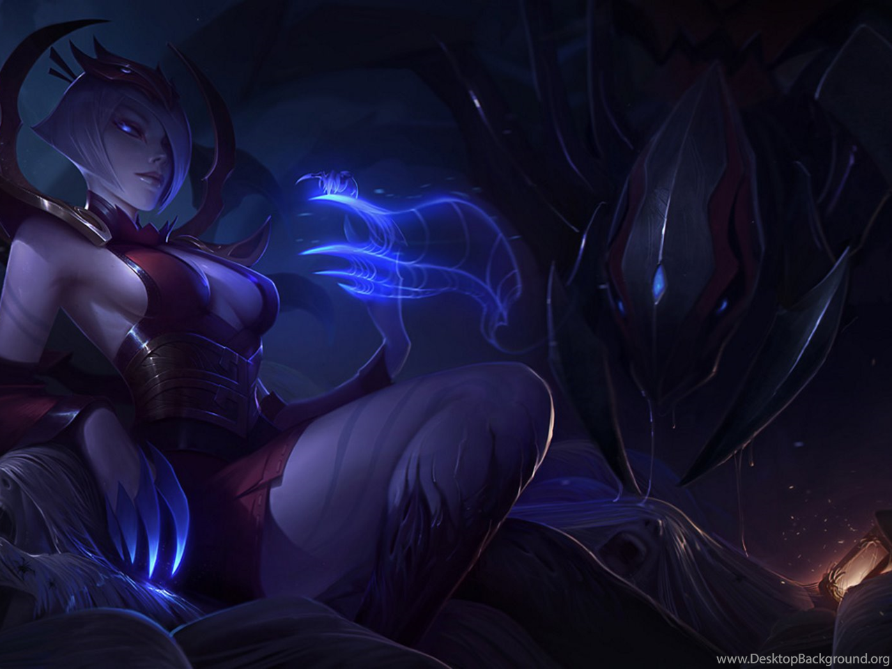 spider wallpapers hd desktop background