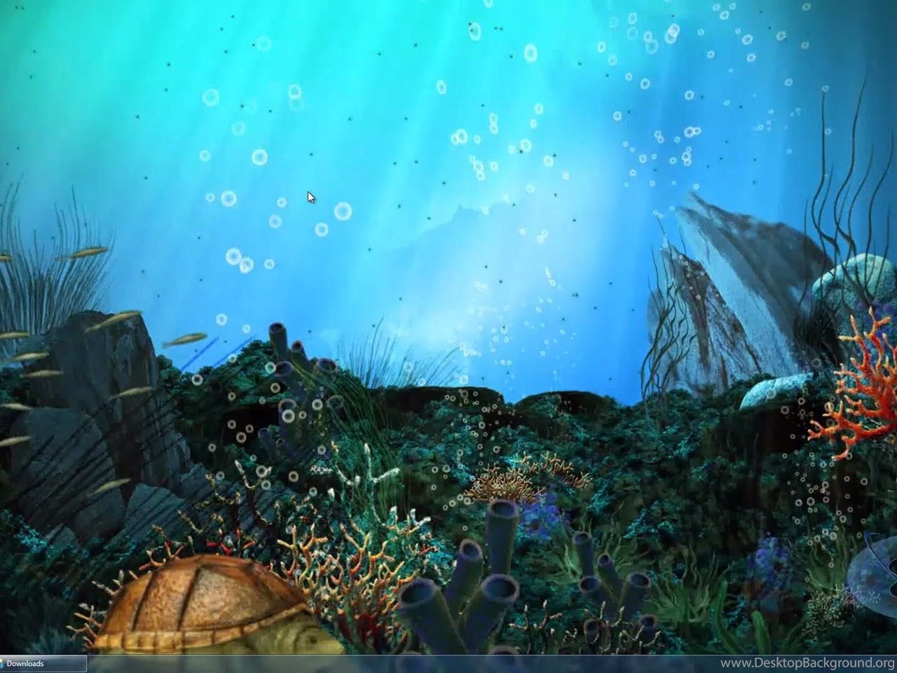 Люди на экран живые. Подводный мир 3д. Живые обои на рабочий стол. Подводный пейзаж картинки. Красивые обои подводный мир.