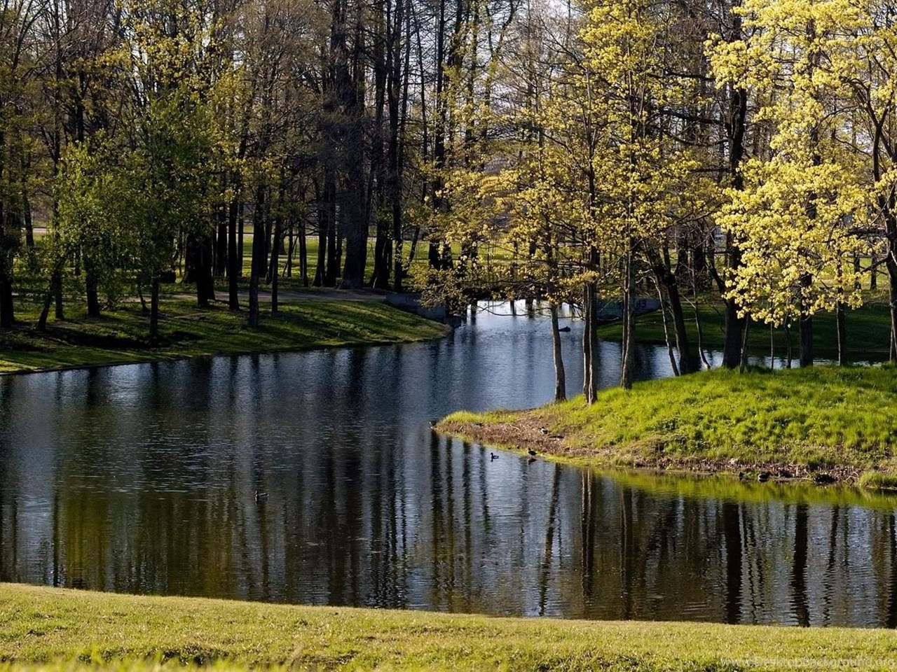 Full Hd Wallpapers Free Download Best HD Desktop Wallpapers 1080p