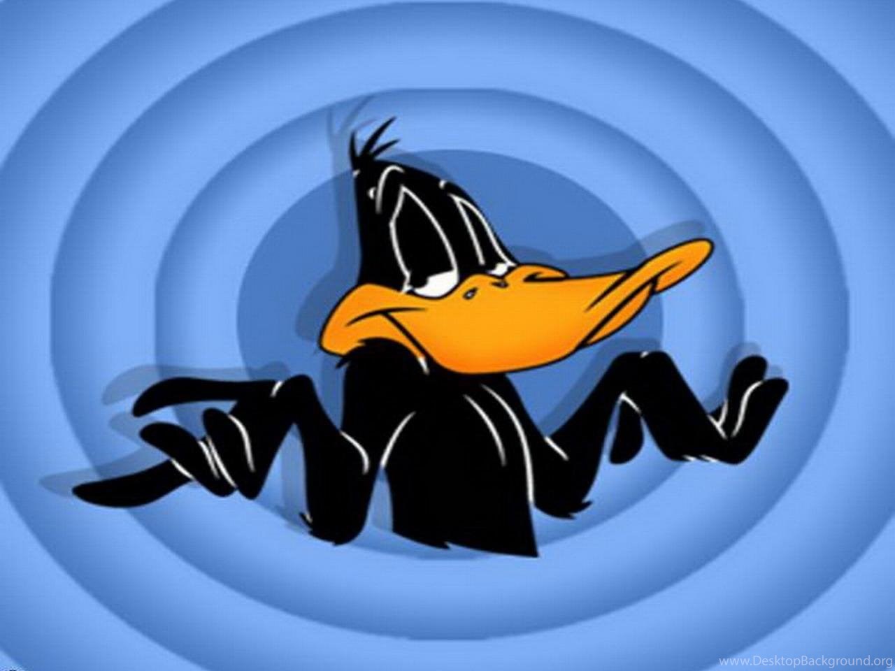 Download Looney Tunes Daffy Duck Wallpapers HD Wallpapers 7875 Fullscreen S...