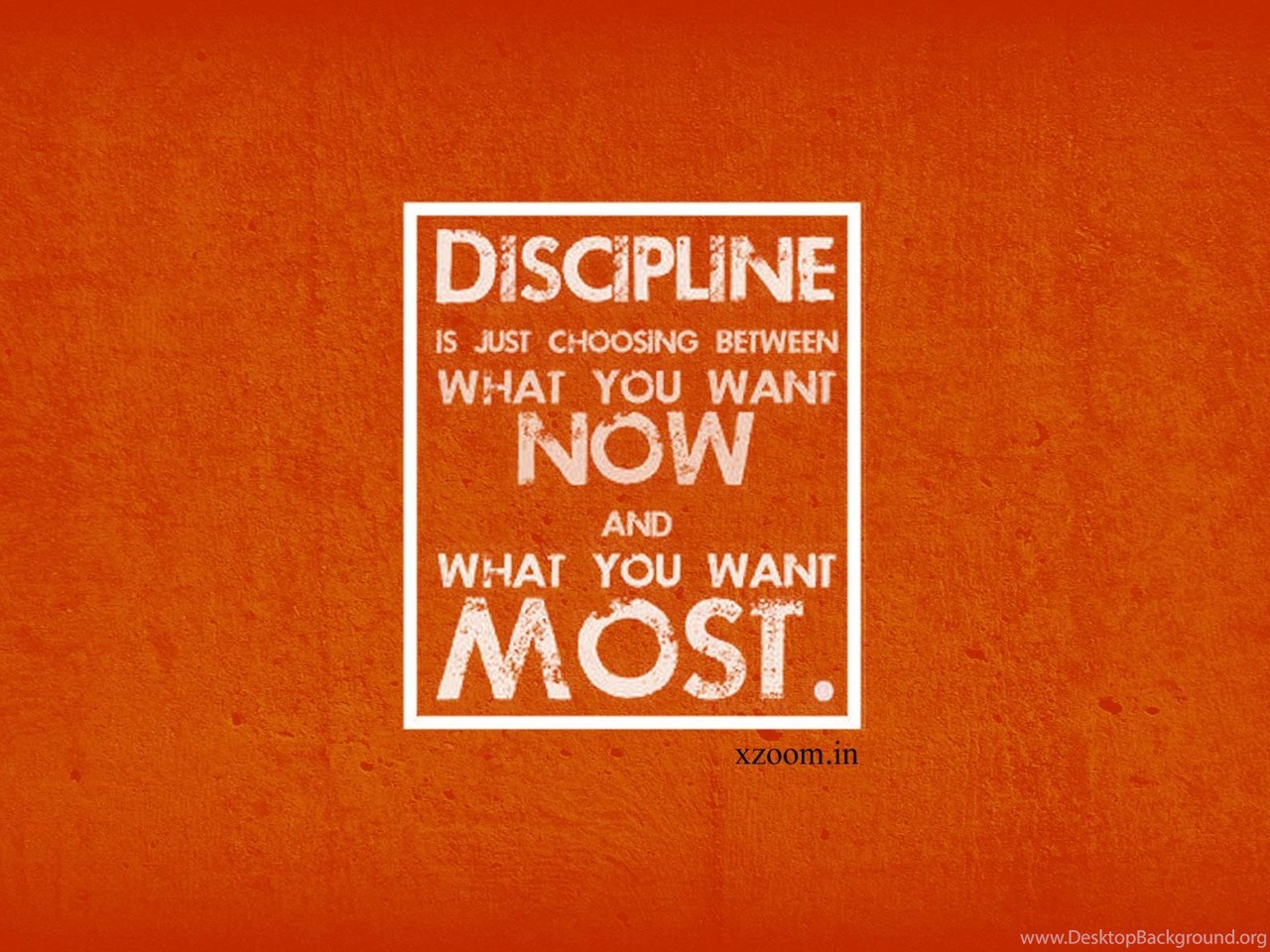 What you want. Дисциплина Wallpaper. Discipline. Discipline обои. Обои discipline на телефон.
