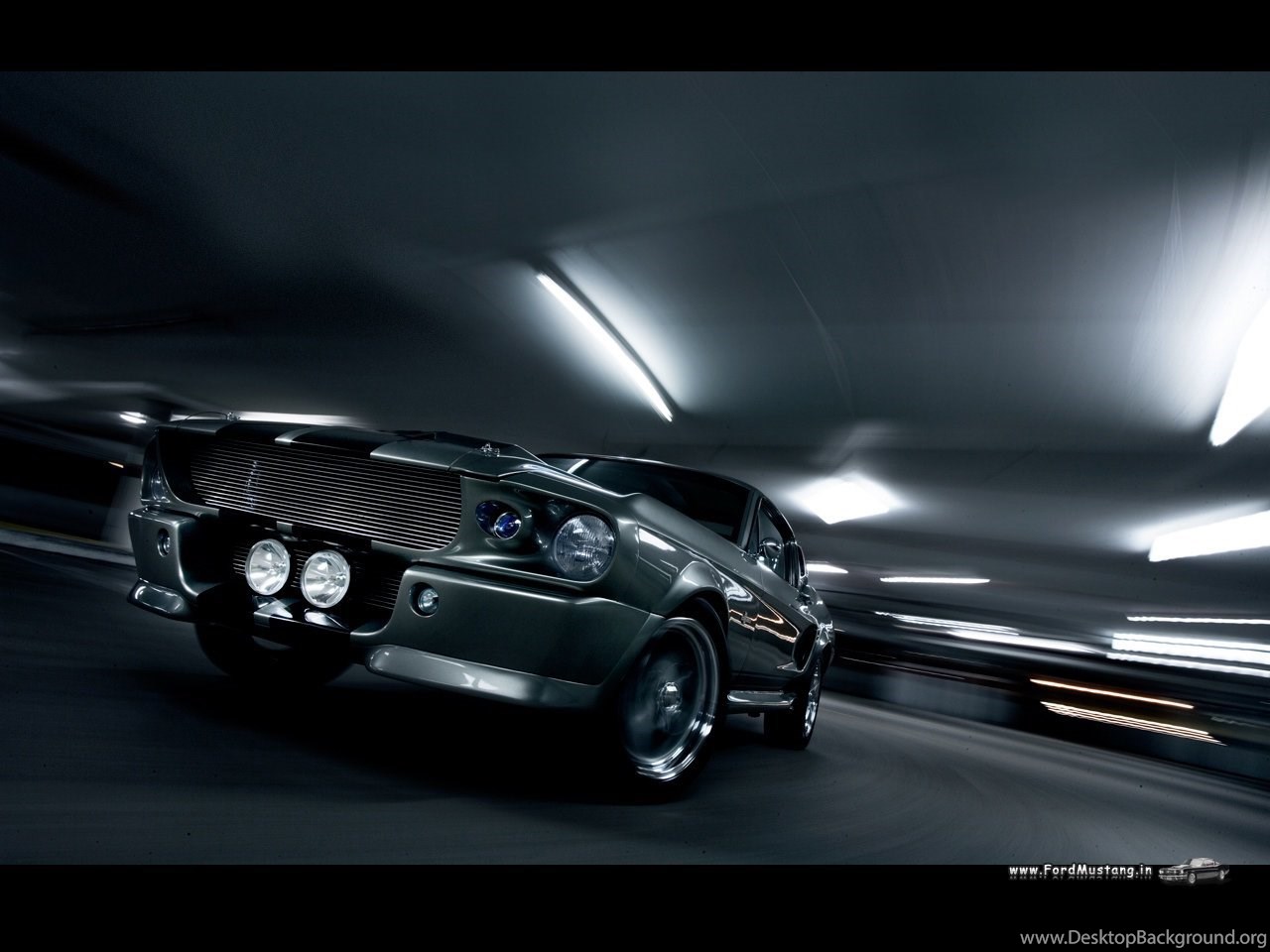 tag for ford mustang shelby gt500