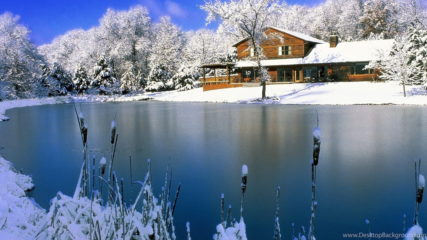 Beautiful Christmas Winter Scenes Thibaut Wallpapers Free