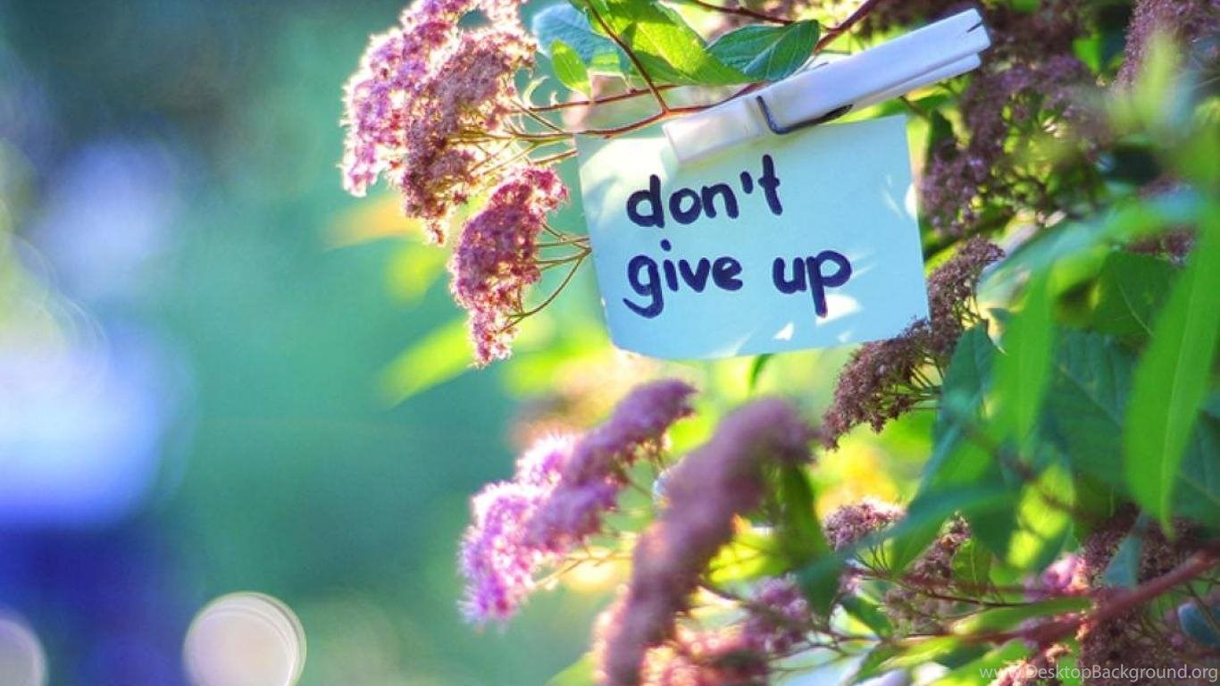 Give me t. Don`t give up. Don't give up картинка. Don't give up игра. Don't give up up Wallpaper.