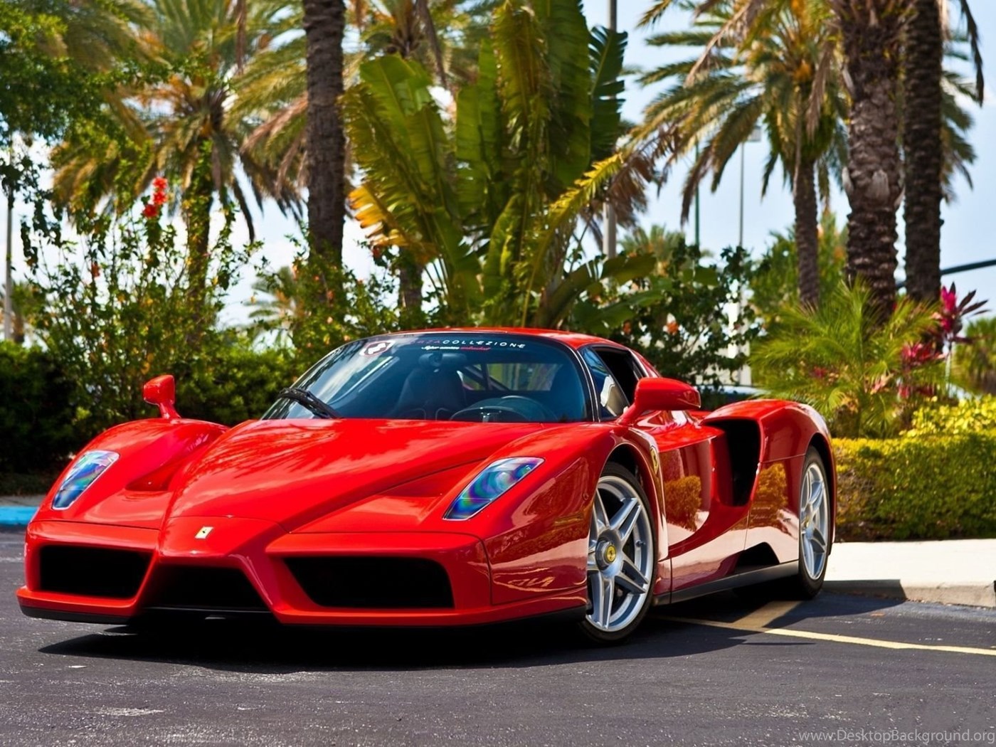 Ferrari Enzo 1920x1080