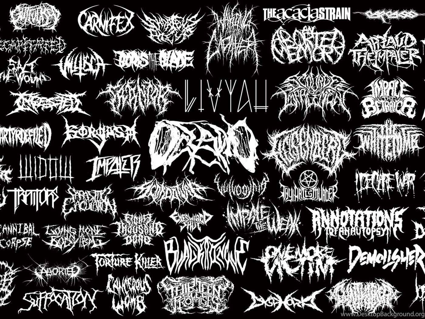 Тексты метал групп. Название дэткор группы. Лого дэткор групп. Названия Deathcore групп. Надписи металл групп.