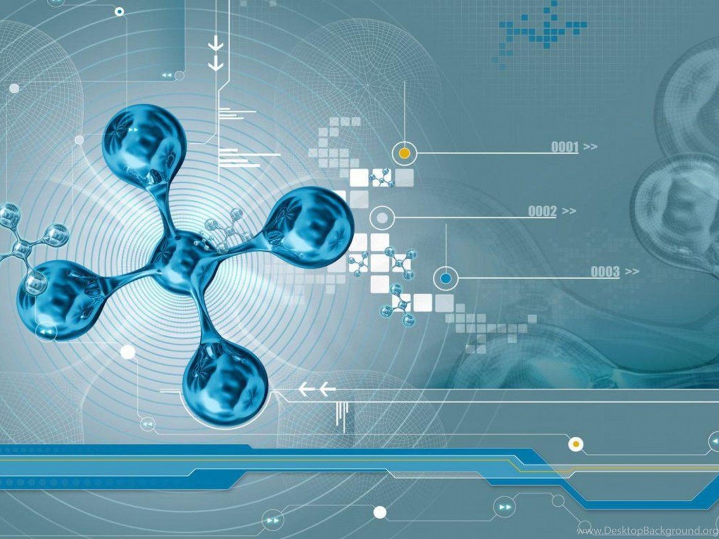 Биология и информатика