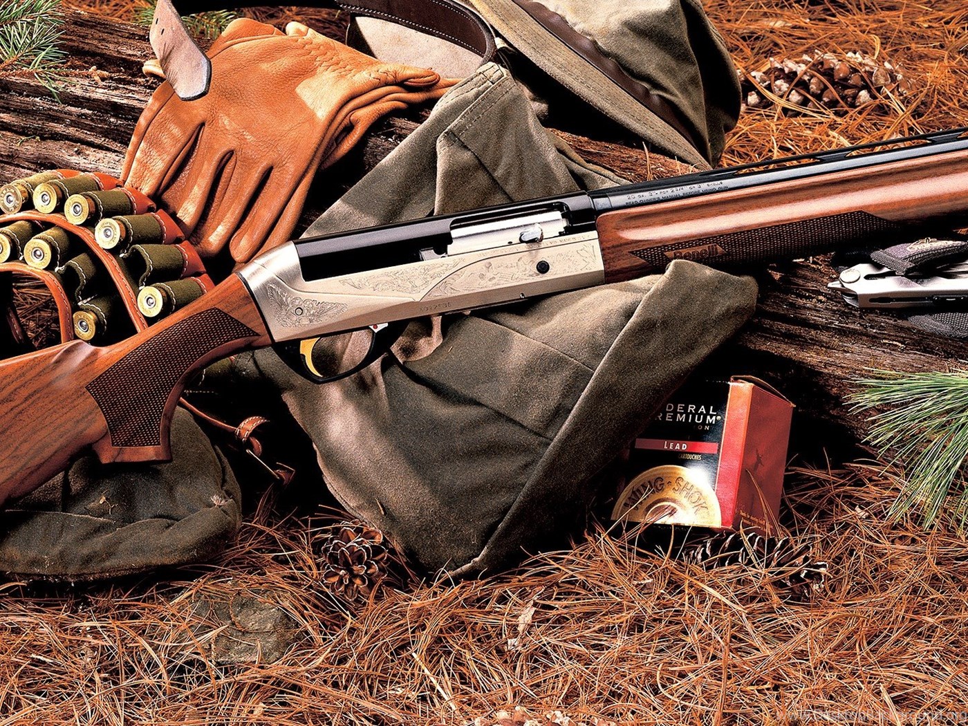 Hunting hunter