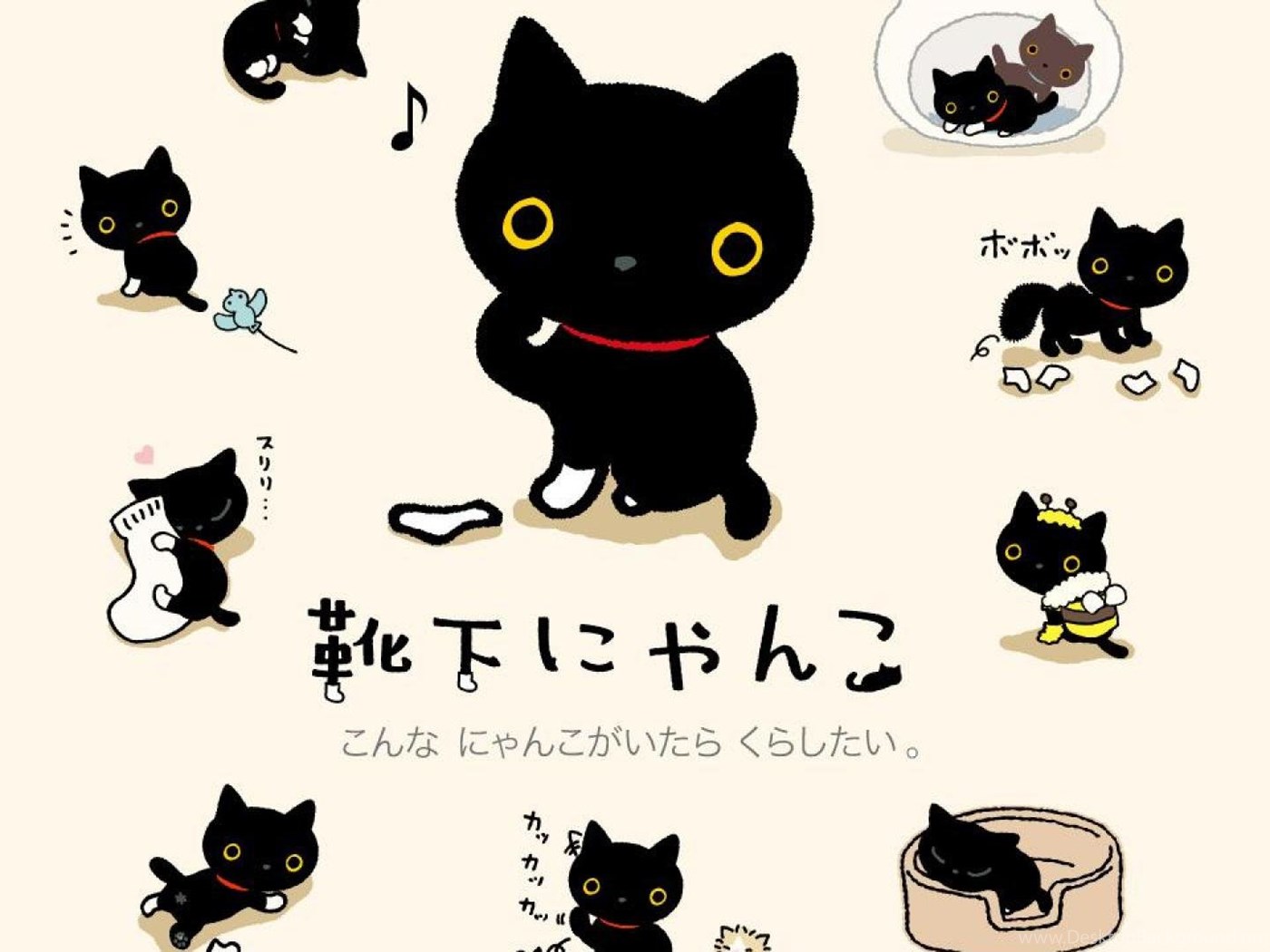 Корейские коты