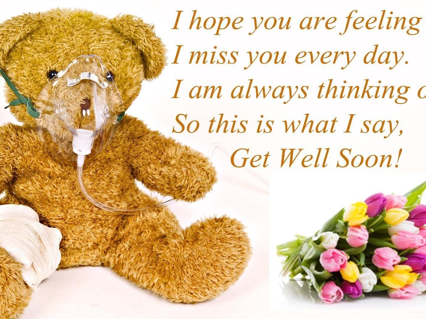 Download Get Well Soon Scraps, Pictures, Images, Graphics For Myspace ... 