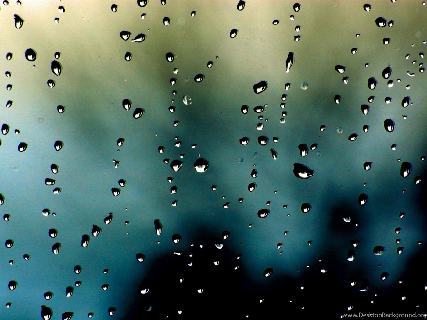 Wallpaper Mobile Phone Screen Animated Black Orange Versus
