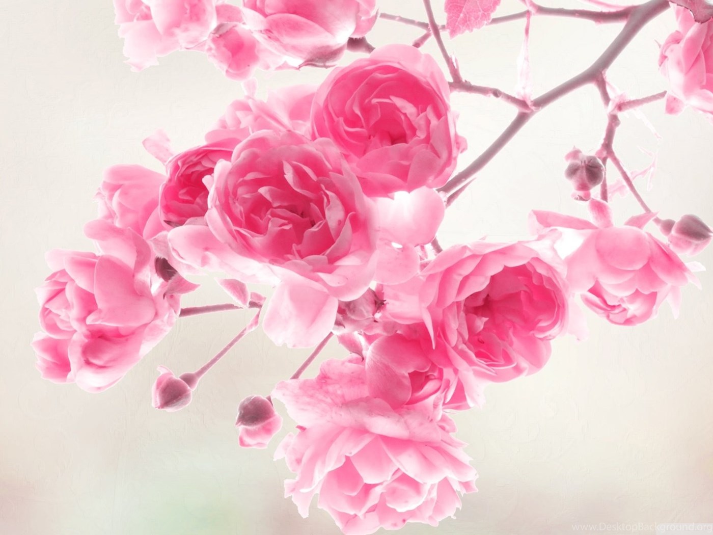 vintage flower desktop wallpapers