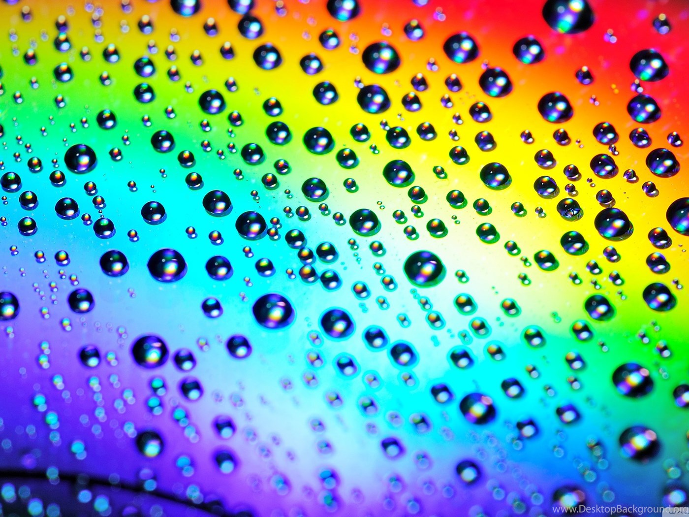 rainbow raindrops rainbow raindrops