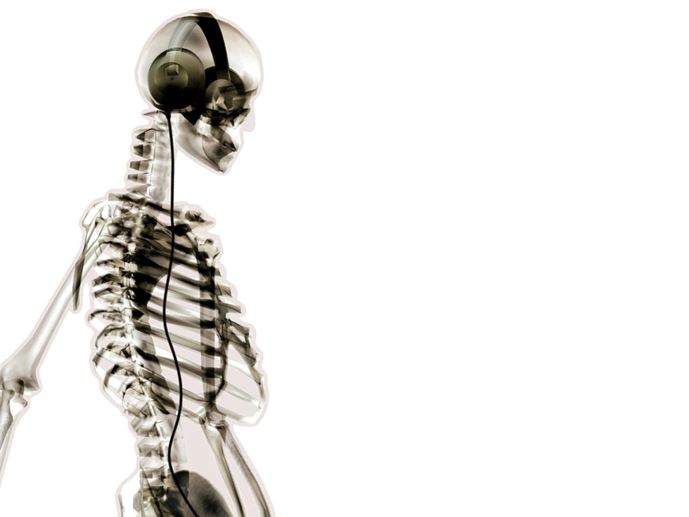 Песни скелета монстер. Скелет Минимализм. Скелет с наушниками. Скелет с наушниками обои. Скелет с наушниками мес.